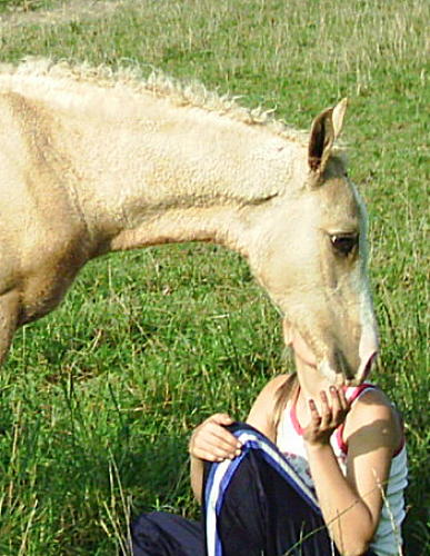 California Dream 2 months old