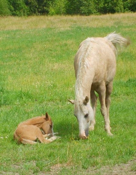 Sleeping beside mom