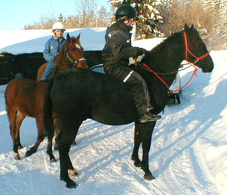 Cherokee's Black Hawk