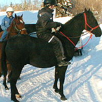 Cherokee's Black Hawk