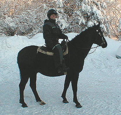 Cherokee's Black Hawk