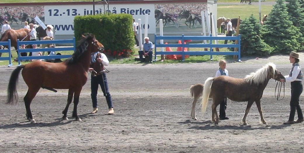 Texas at the horse expo Hest 2004