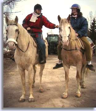 Two Curly Horses with riders