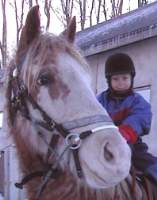Little girl riding Curly Horse
