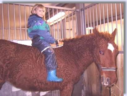 Little girl sitting on Curly Horse