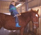 Little girl sitting on Curly Horse