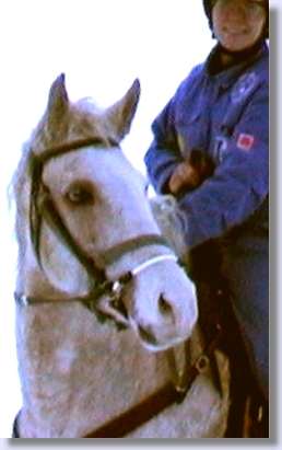 Woman sitting on Curly Horse