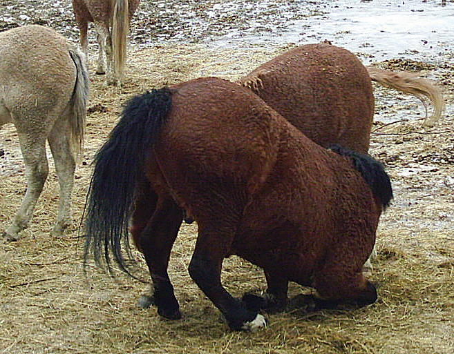 Texas and Wyoming