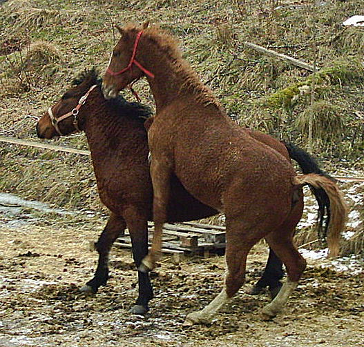 Texas and Wyoming