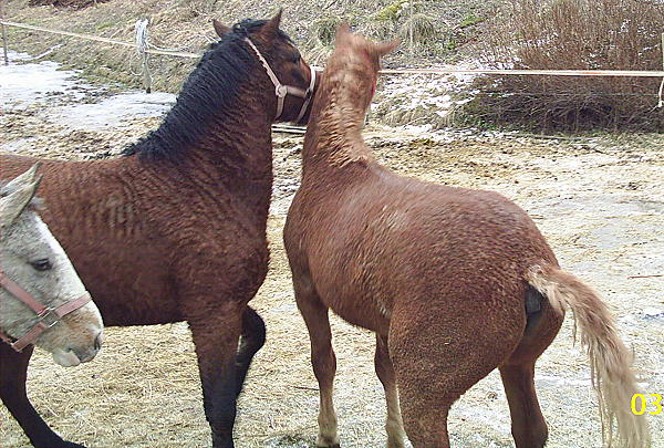 Texas and Wyoming